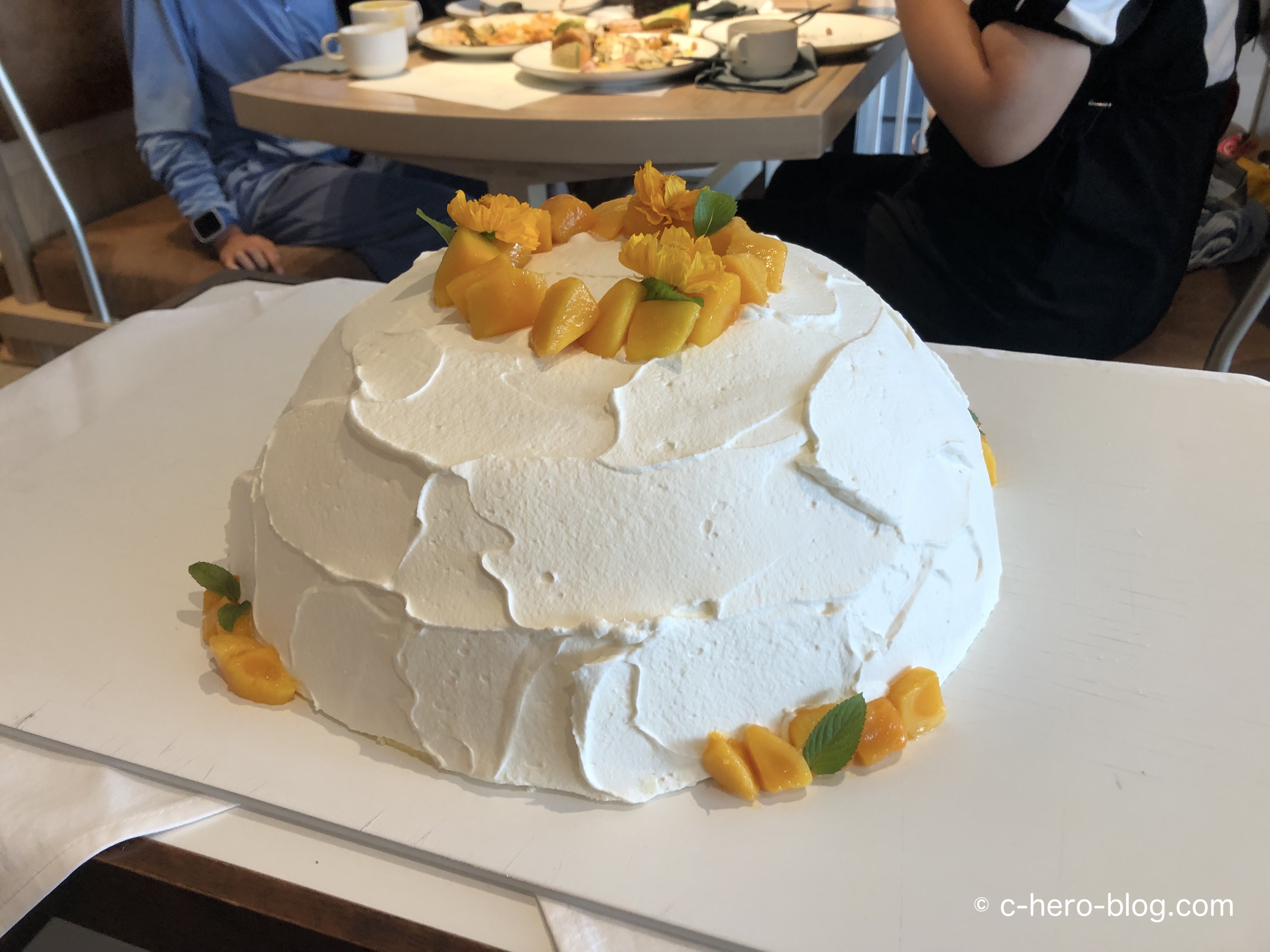 ズコット / zuccotto